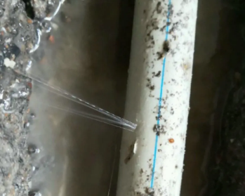 石狮卫生间测漏水多少钱